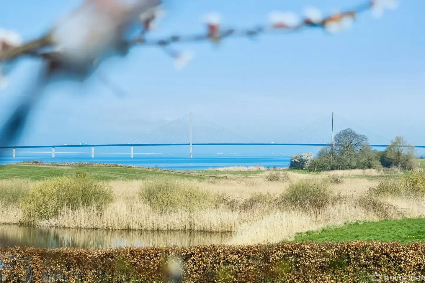 Landejendom på Vesterskovvej 26, 4793 Bogø By