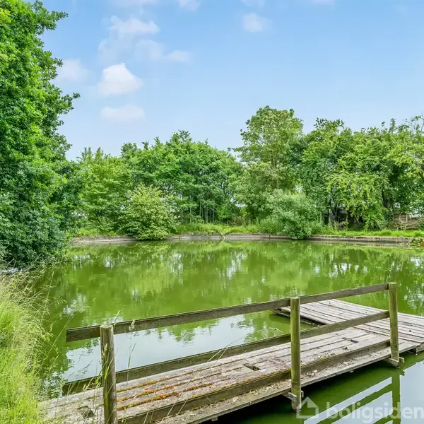 Træbro strækker sig ud over en stille sø omgivet af frodige træer og buske i en naturskøn park. Vandet spejler den blå himmel og det grønne løv.