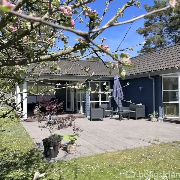 Et blåmalet hus med fladt tag står i en have. Foran er en terrasse med havemøbler og en parasol, omgivet af blomstrende træer under en klar, blå himmel.