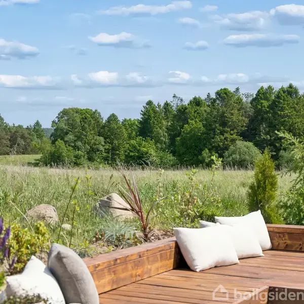 Træterrasse med puder står stille og inviterende i en grøn have, omgivet af frodig vegetation og en række træer i baggrunden under en blå, skyet himmel.