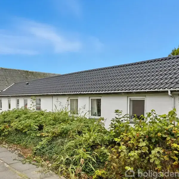 Hvidmalet hus med sort tag står ved siden af en sti omgivet af buske og planter under en klar blå himmel.