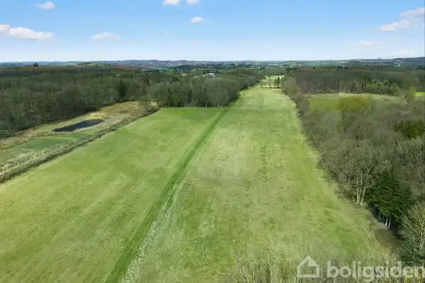 Græsmark strækker sig gennem landskab, flankeret af skovbevoksning på begge sider under en blå himmel med få skyer. I baggrunden anes en dam nær træerne.