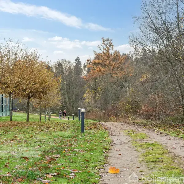 Grusvej løber gennem en park med træer på begge sider, der delvist er tætte og buskede. En person går i baggrunden. Änder og græs dækker jorden.