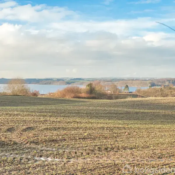 En mark strækker sig mod en fjord i det fjerne, omkranset af bakker og spredte træer under en blå, skyet himmel.