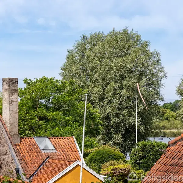 Taghuse med røde tegltage står stille i en landsby omkranset af frodige træer. I baggrunden ses en sø under en blå himmel med spredte skyer.