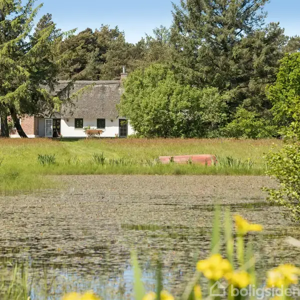 Hus: Hvidt bindingsværkshus med stråtag. Aktion: Står stille. Kontekst: Beliggende ved en sø omgivet af høje træer og græs, med blomster i forgrunden og spejlblankt vand.