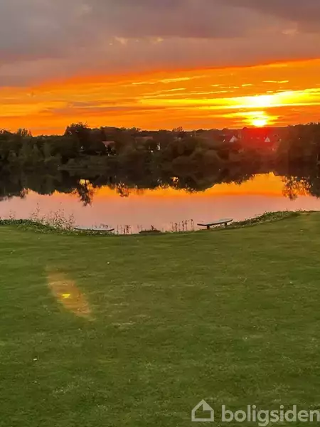 En græsplæne strækker sig ud foran en sø, hvor en intens solnedgang maler himlen med orange og gule nuancer. Skovområder omgiver vandet i baggrunden.