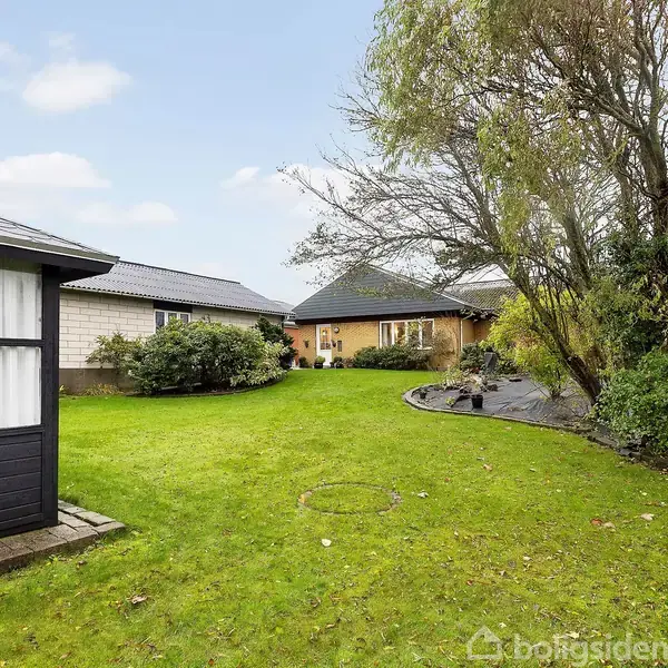 En grøn græsplæne omgivet af to huse og en stor busk med træer. Himmelen er overskyet.