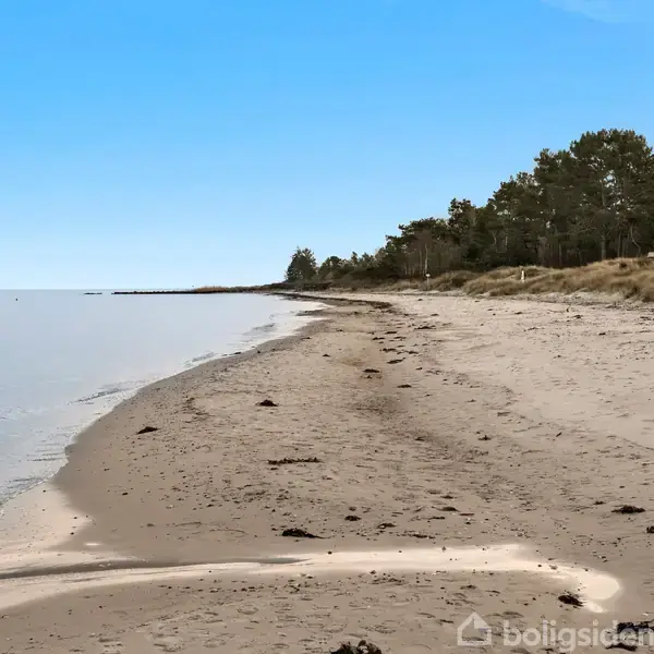 Strand med blødt sand strækker sig langs kysten, hvor bølgerne roligt skyller ind. Træer langs kanten skaber en naturlig grænse mod havet under en klar blå himmel.