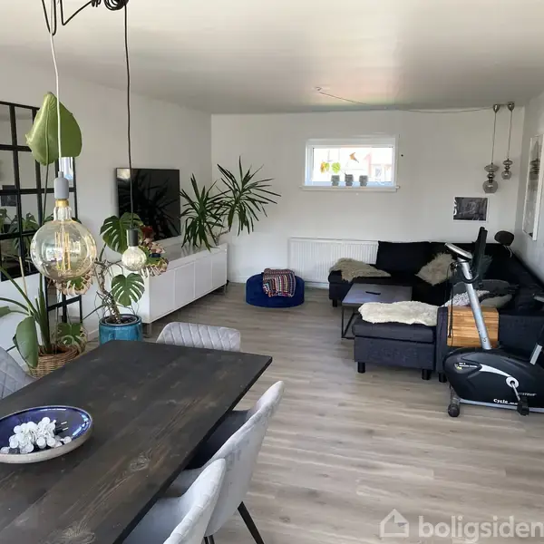 Et moderne stueområde indeholder et sort sofahjørne med puder, en træspisebord med stole og en motionscykel. Der er planter, belysning og dekorationer i et lyst rum med trægulv.