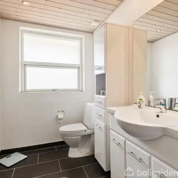 Badeværelse med hvidt interiør; en toiletstol ved siden af et vindue, håndvask med skabsplads nedenunder og spejl over, dekorative planter i hjørnet; brune fliser og loft i træ.