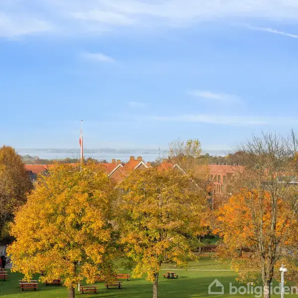 Træer i gyldne efterårsfarver står i en park med græsplæne og bænke, omgivet af bygninger. En flagstang skiller sig ud under en klar, blå himmel.