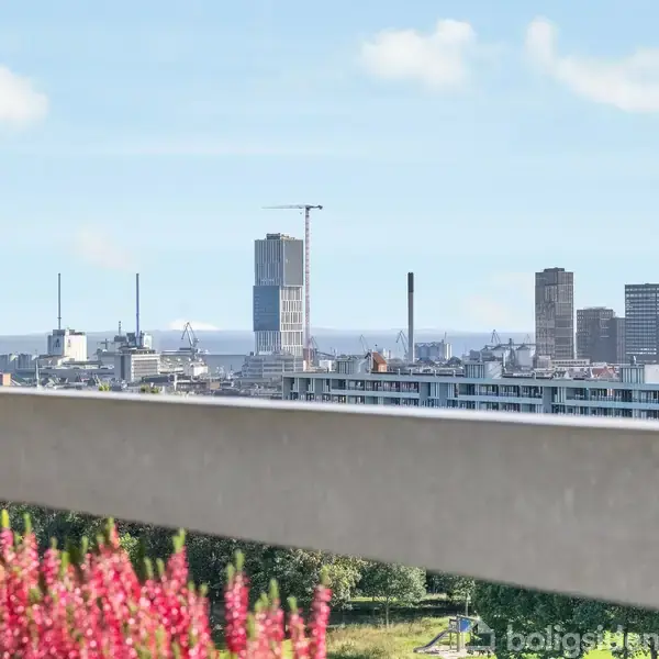 Bygninger står i det fjerne, nogle med kraner ovenpå, mens lyserøde blomster i forgrunden leder øjet mod en bred udsigt over byen under en blå himmel.