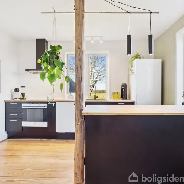 Et moderne køkken med sorte skabe, en ovn og komfur. En plante hænger fra loftet ved en træstolpe. Vinduerne i rummet giver udsigt til naturen udenfor.