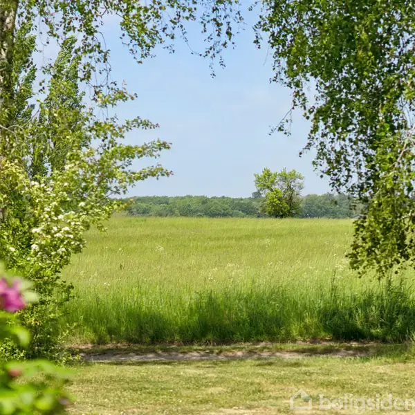 Græseng under blå himmel, omkranset af træer og buske med grønne blade og lyserøde blomster. Enkeltstående træ i baggrunden.