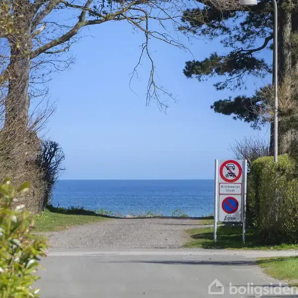 Vejen fører til havet under blå himmel. Træer og buske flankerer stierne. To vejskilte viser parkeringsbegrænsninger: et med hundeforbud og et med parkering 250m.