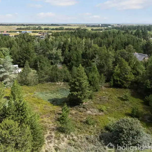 Træer står tæt samlet i en frodig skov; omgivet af åbne marker under en blå himmel med spredte skyer. Spredte huse kan ses blandt træerne.