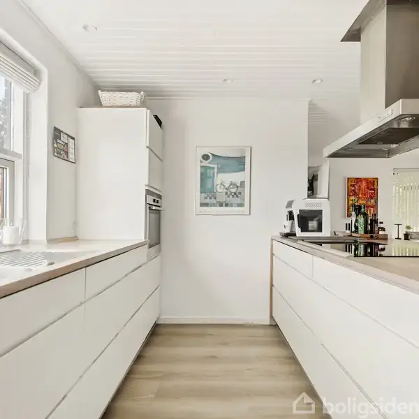 Køkken med hvide skabe, vask og ovn til venstre, køkkenbord med kogeplader og emhætte til højre. Store vinduer lader naturligt lys strømme ind, og grønne planter står på bordet.