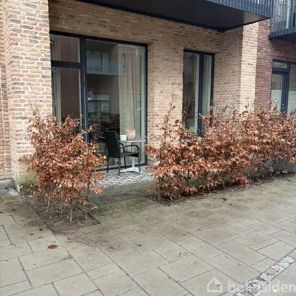 En terrasse med fliser foran en bolig med trærammede vinduer. En sort stol og en plantekrukke står ved vinduet. Vejrabatter med visne buske omkranser området.