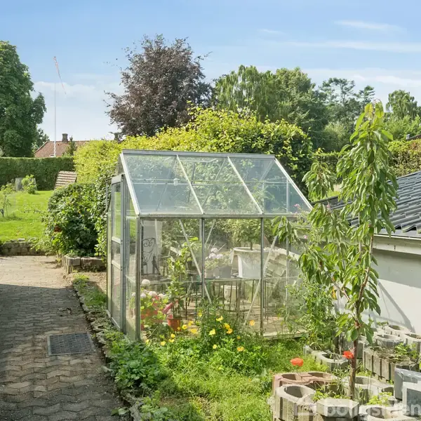 Et drivhus står i en have fyldt med grønne planter og blomster; en flisegang og en bygning danner rammen i en solfyldt have.