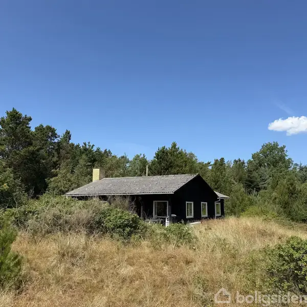 Et sort hus står stille omgivet af høj græs og skovbevoksning under en klar blå himmel med enkelte skyer.
