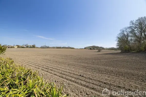 En pløjet mark ligger stille under en klar blå himmel. Skovklædte områder omgiver marken i baggrunden, og grønne planter ses i forgrunden. Ingen tekst er synlig.