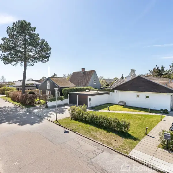 En række huse står stille langs en gade i et åbent, solrigt boligområde med grønne hække og en markant træ ved vejkanten.