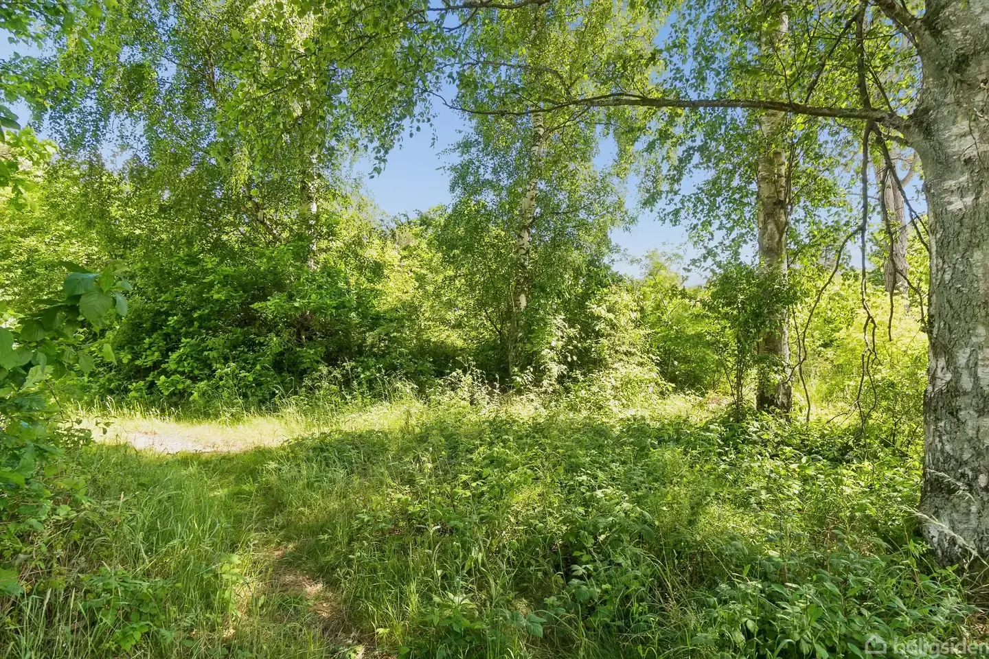 Autentisk fristed beliggende på en stor delvist fredet naturgrund m. kig til vand - Widok 4