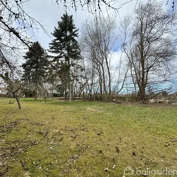 Græsplæne strækker sig med sparsomme træer i en park, omkranset af større, tætte skovtræer under en lys blå himmel.