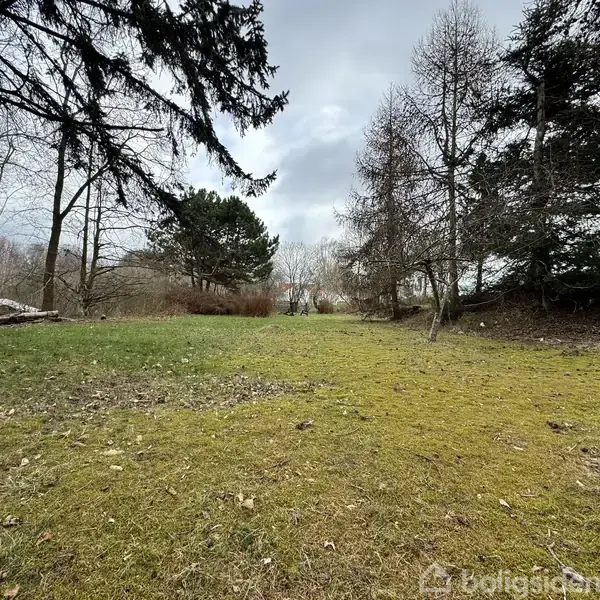 En åben græsplæne strækker sig under overskyet himmel, omkranset af nøgne og stedsegrønne træer. Græsset er ujævnt med lidt mosdækning, og nogle blade ligger spredt på jorden.