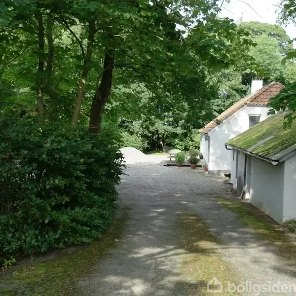 Hus med mosbelagt tag ligger i en skovklædt have ved en grusvej. Omgivet af tætliggende træer, skaber det en fredelig og naturfyldt atmosfære.