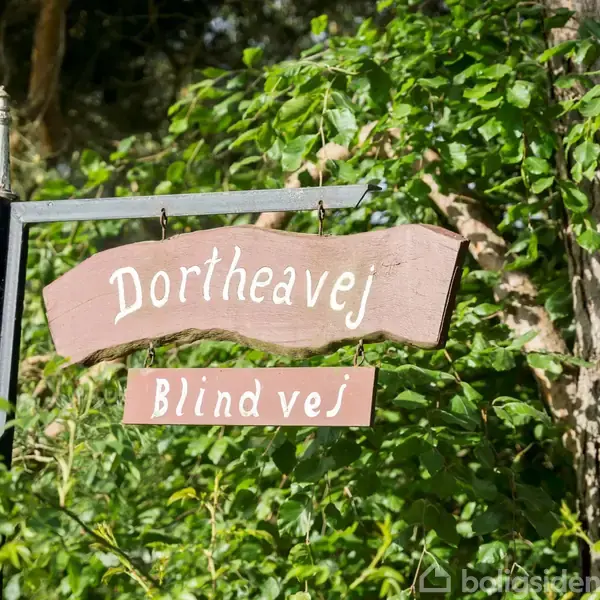 Et vejskilt hænger fra en metalramme, med teksten "Dortheavej Blind vej". Skiltet er omgivet af grønne blade og træer i sollys.