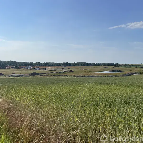 Et åbent marklandskab strækker sig med frodig bevoksning i forgrunden. I baggrunden ses en række bygninger og træer under en klar blå himmel.