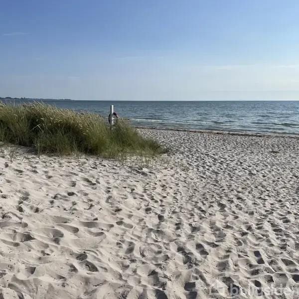 En ensom person går ved vandkanten på en sandstrand med marehalm og klart vand under en blå himmel.