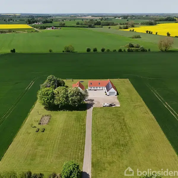 Hvid bygning med rødt tag står omgivet af grønne marker og træer. Landejendom med indkørsel i en landlig omgivelser med vidtstrakte gule rapsmarker i baggrunden.