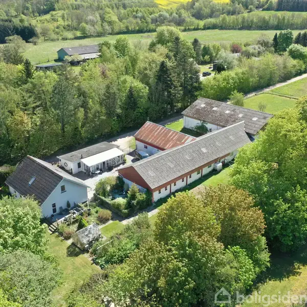 Stort hvidt bondehus med røde tage omgivet af grønne træer og marker. Beliggende på en landlig vej, huset indrammes af frodig natur.