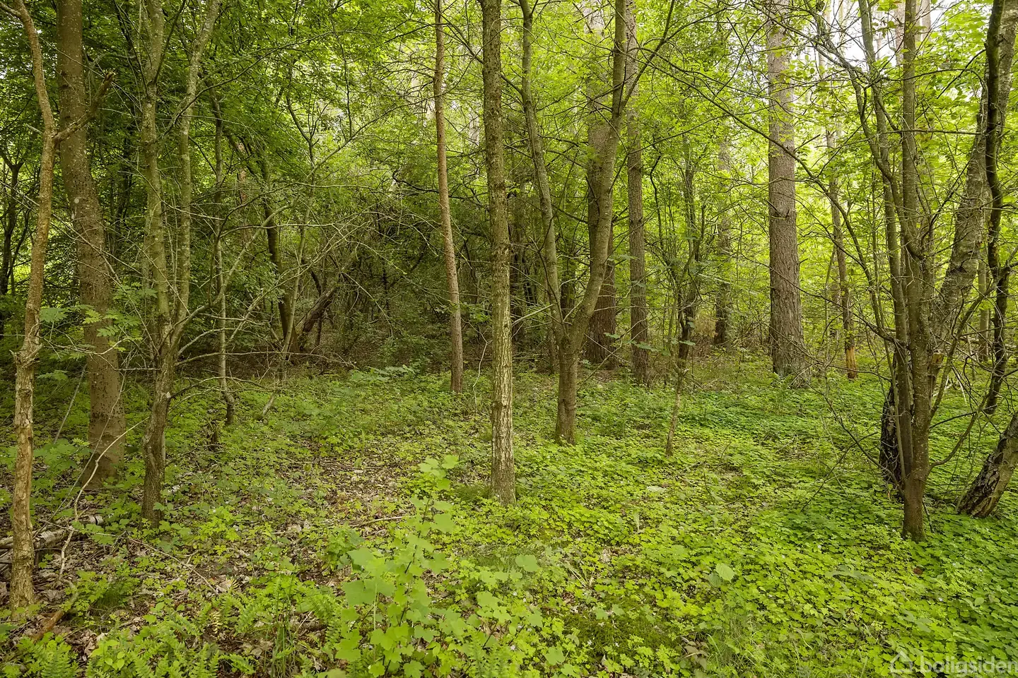 Fritidsgrund på Falkevej 160, 8560 Kolind