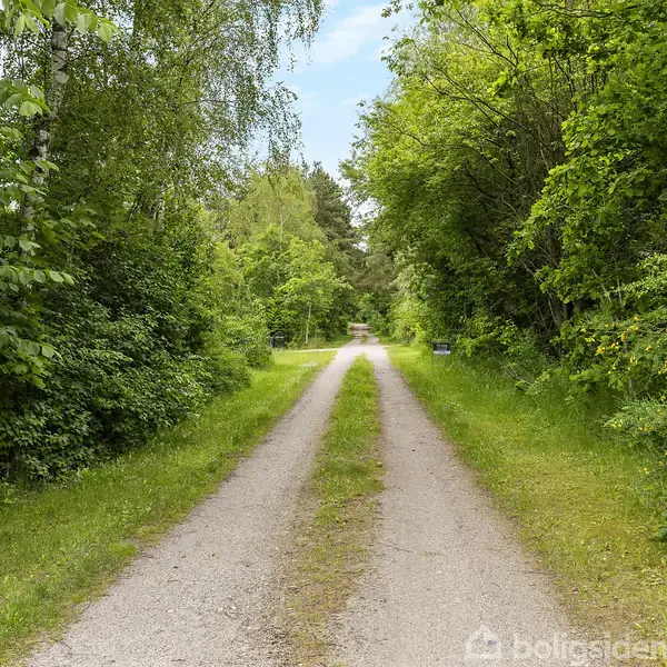 Grusvej strækker sig gennem tæt skov, omgivet af grønne træer og buske. Himmel er let overskyet i baggrunden, mens vejen svagt drejer. Der er ingen tekst i billedet.