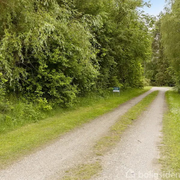 En grusvej strækker sig gennem en frodig skov med tætte, grønne træer på begge sider. Ved vejkanten står et skilt. Der er ingen synlig tekst på skiltet.