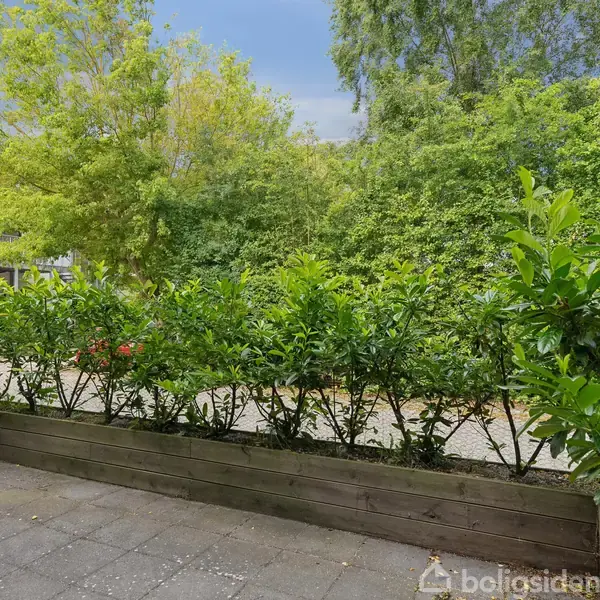 En terrassedør står åben ud mod en stenbelagt gårdhave omgivet af grønne buske. I baggrunden ses frodig vegetation og et hus med altan.