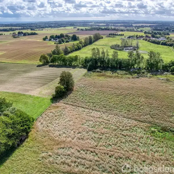 En landlig ejendom med en gård og hustage omgivet af marker og grønne områder. Bygningerne står blandt træer, med åbne marker og himmel i baggrunden.