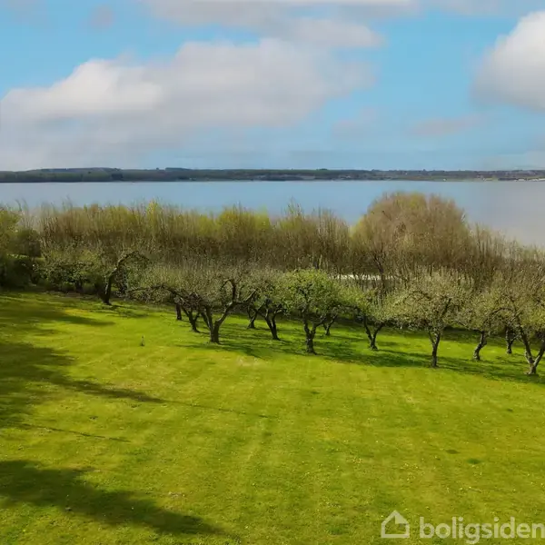 Grøn græsplæne strækker sig til en række frugttræer; i baggrunden ses en bred sø, omgivet af skovklædte områder under en blå himmel med skyer.