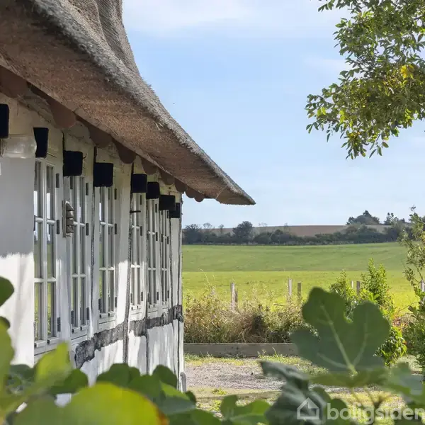 En hvid bindingsværkbygning med stråtag står stille ved siden af grønne marker. Forgrunden har frodige blade, mens en blå himmel fylder baggrunden og skaber en idyllisk landskabsscene.