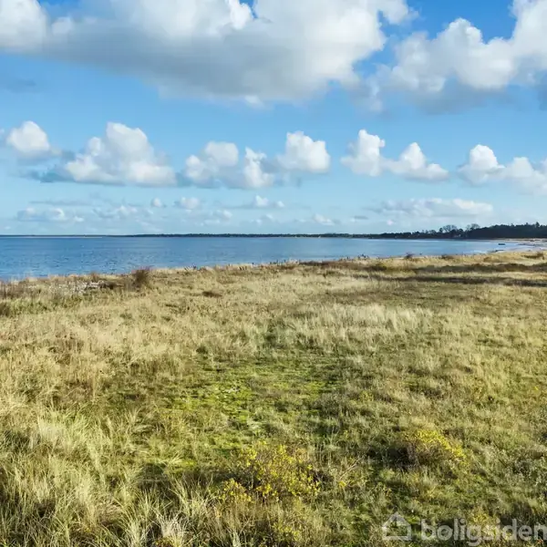 Græsareal strækker sig langs en kystlinje med havet til venstre, under en blå himmel med spredte skyer. Ingen tekst er fundet i billedet.