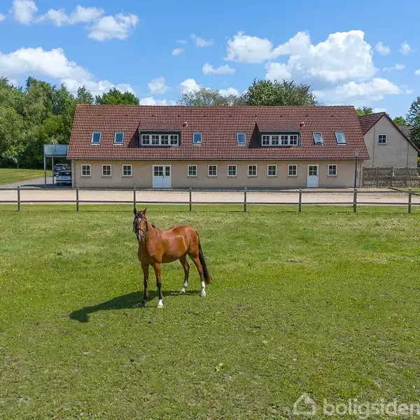 En hest står på en grøn mark foran en stor bygning med rødt tag og mange vinduer. Bygningen omgives af træer og en blå himmel med skyer.