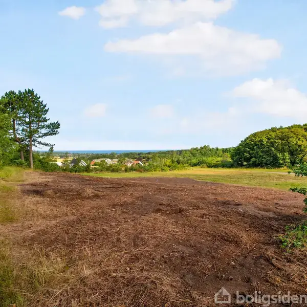 Åben mark strækker sig mod horisonten, omgivet af træer på begge sider. I baggrunden skimtes et mindre beboelsesområde mod en klar blå himmel.