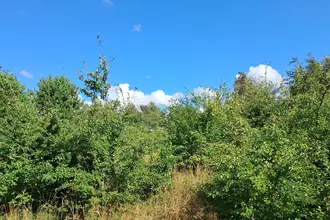 Fritidsgrund på Ahornvej 52, Brøndum, 9690 Fjerritslev