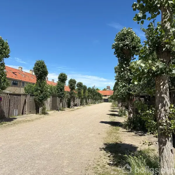 Rækkehuse med røde tegltage står på række, flankeret af beskårne træer langs en stille vej. En enkelt bil holder parkeret ved vejkanten under en klar, blå himmel.
