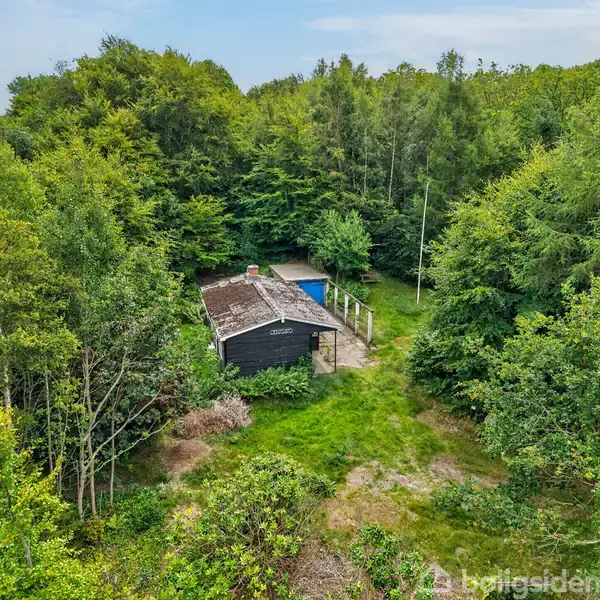 En sort træbygning står i en frodig, skovbevoksning. Huset har mos på taget, en stor græsplæne foran og skoven som baggrund. Området synes stille og naturligt.