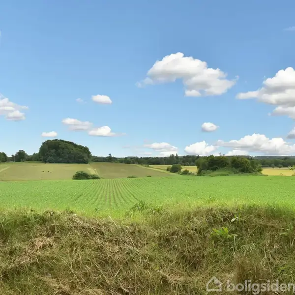 Grøn mark strækker sig ind i horisonten under en klar blå himmel med spredte skyer, omgivet af træbevoksede områder og en vej i det fjerne.
